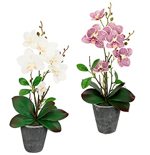 Kunstblumen-Orchidee-40cm-mit-Blatter-im-Topf-Kunstorchidee-Kunstliche-Orchidee-Blume-Phalaenopsis-mit-Ubertopf-Kunstpflanze-Hochzeit-Deko-Seidenblume-Real-Touch-Blute-rosaweis | Dealmeister.io Alt tag für bilder post titel