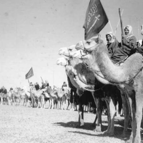 S8 Ep673: 3. Jonathan Schanzer explains Israel&rsquo;s military objectives against Hezbollah in southern Lebanon. He details the threat of Iranian-backed Houthi attacks on maritime trade and Egypt's potential forced entry into the conflict. (3)