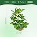 Holyenten Silk Aquarium Plants (2-Pack) 9.8 Inch Artificial Plastic Fish Fish Habitat Decor, Small to Moderate Size Aquarium Decorations, Safe Green Plants for Freshwater Tanks