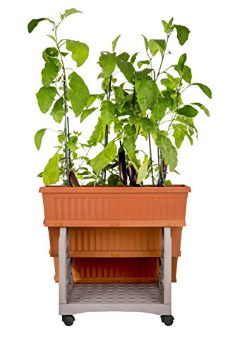 Bama Fioriera Set 3 Pezzi L'orto - 3