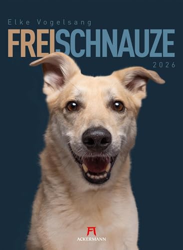 Frei Schnauze Kalender 2026: Humorvoller Hunde-Kalender im Hochformat (33x45 cm) | Portraits der besten Freunde des Menschen | v