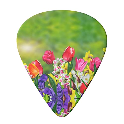Spring Flowers Lot de 6 médiators pour guitare acoustique, guitare électrique, basse, ukulélé – fins, moyens et épais. - Les Beatles, Paul McCartney, John Lennon, RIngo Starr, George Harrison Spring Flowers Lot de 6 médiators pour guitare acoustique, guitare électrique, basse, ukulélé – fins, moyens et épais. – Image 4