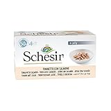 Schesir