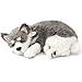 Perfect Petzzz Alaskan Husky