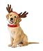 KOVOT Holiday Dog Reindeer Costume - Reindeer Antlers Hat & Bell Collar - Small/Medium