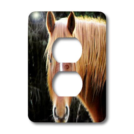 Prises de prise tête de cheval marron cache double 3dRose lsp_51785_6