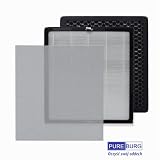 PUREBURG Filtr zamienny kompatybilny z oczyszczaczami powietrza FRESHDEW & DAYETTE AP303 AP304, 2-pak H13 HEPA z węglem aktywnym i filtry wstępne (pralne) do czyszczenia powietrza z kurzu, VOCs