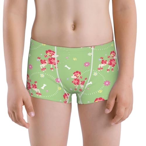 Boys' Cotton Boxer Brief Soft Underwear-Cute Poodle Dog