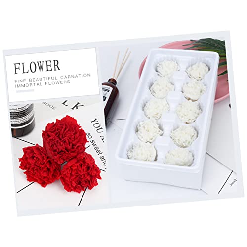 LIFKOME flores eternas secas para decoración miniatura 5