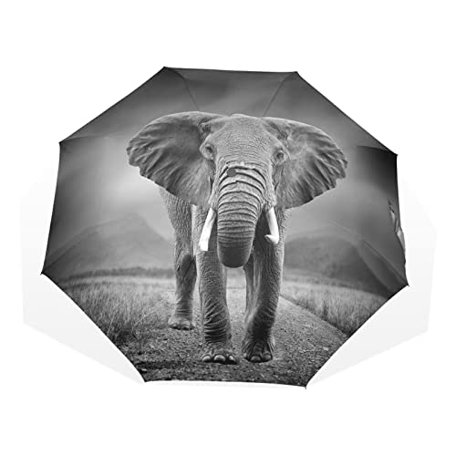 Parapluie de poche éléphant africain pour vos trajets quotidiens