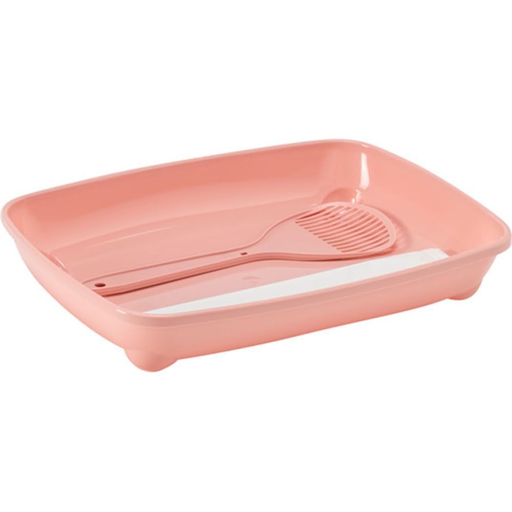 Moderna KITTEN STARTER KIT PINK