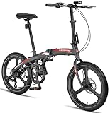 Licorne Bike Phoenix 2D Cross Vélo pliant en aluminium 20