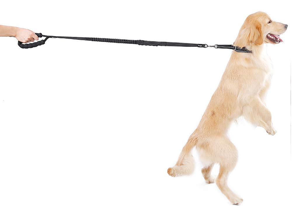 Guinzaglio per Cani Bungee, Guinzaglio per Animali Domestici Bungge Che Assorbe Gli Urti con 2 Maniglie di Controllo, Riflettente per Una Camminata Notturna più Sicura