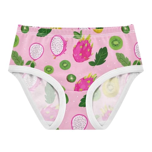 Wusikd Cute Dragon Fruits Pink Girls' Underwear Cotton Girls Briefs Soft Toddler Underwear 2T
