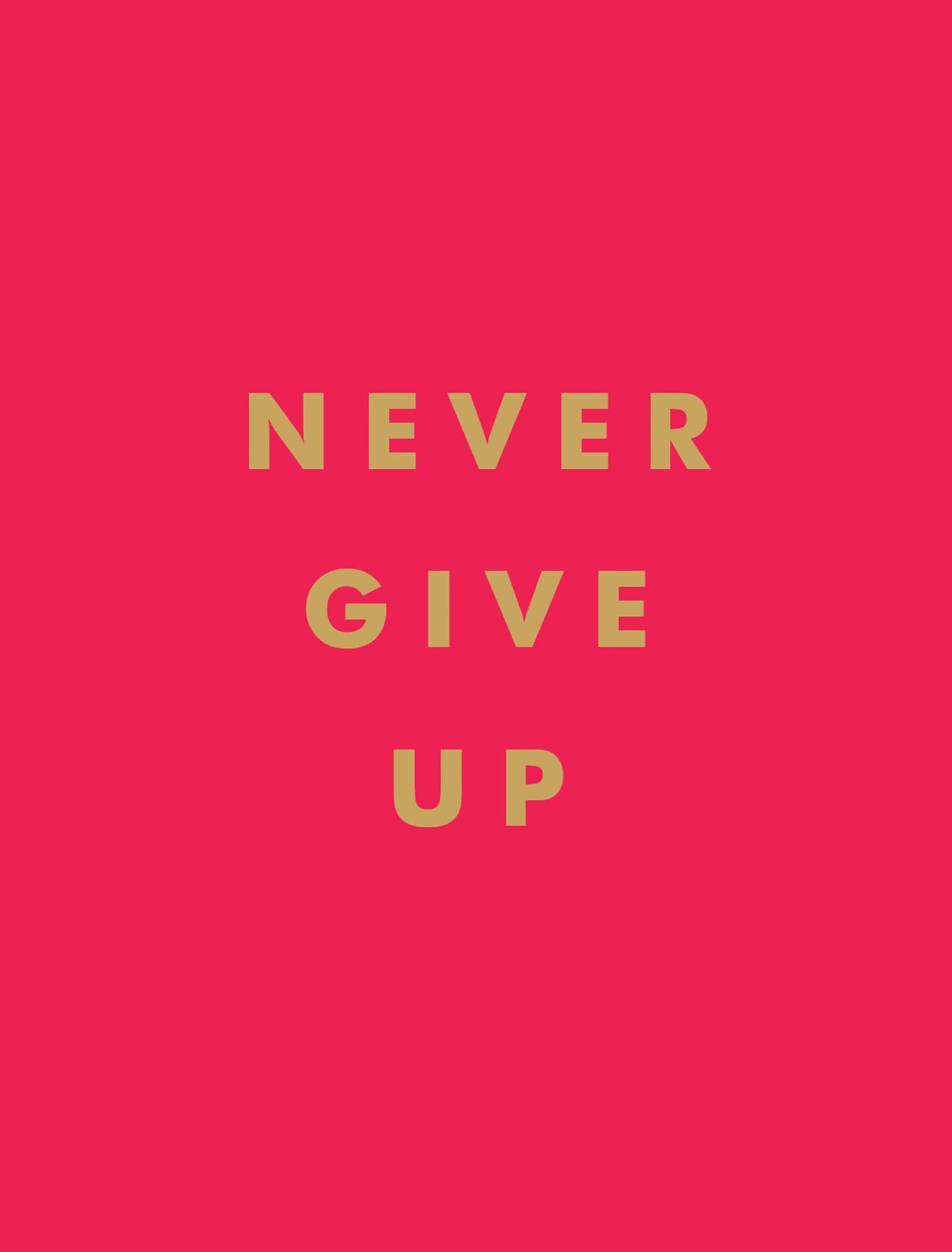Never Give Up: Inspirational Quotes for Instant Motivation