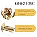 Hugwits 10 PCS Exhaust Manifold Bolt Kit, 10.9 Zinc Hex Flange Bolt Screw, High Strength Flange Bolts Set, Universal for Automotive, Machinery, Equipment Repair (Gold)