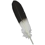 Feather - Imitation Bald Eagle - Wing