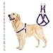 PUPTECK No Pull Dog Harness Adjustable Basic Nylon Step in Puppy Vest Outdoor Walking Chest Girth 15.6