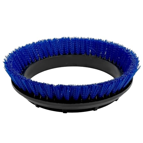Brosse à récurer Orbiter ORB550MC en nylon bleu pour désincruster