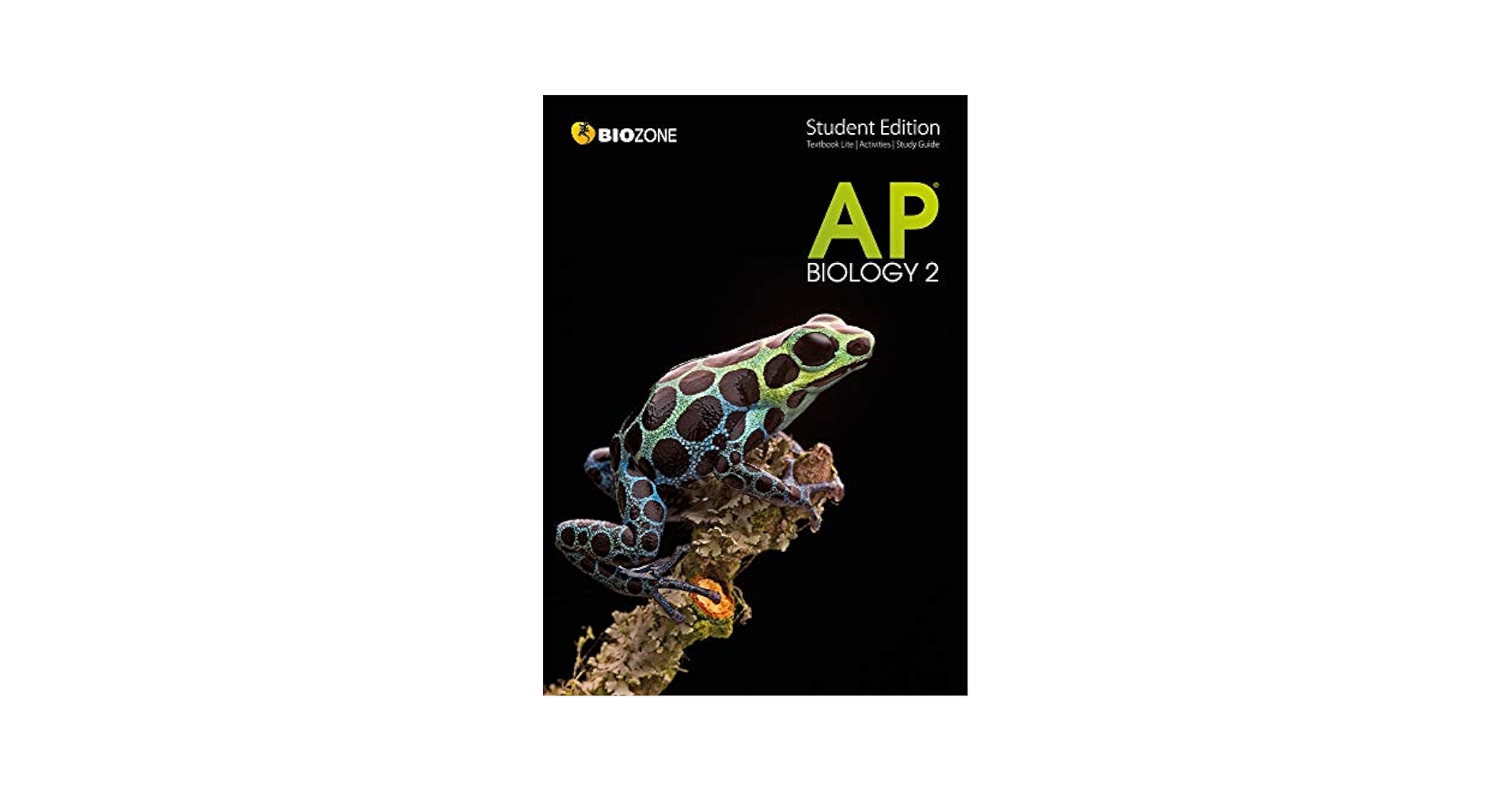 語学+参考書 Handbook of Biofunctional Surfaces Principles of Scientific Writing and Biomedical Publication