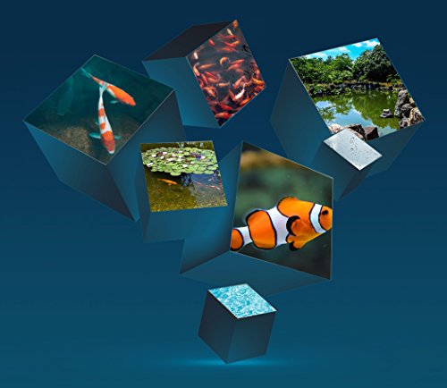 Aqupon Koi Pond Filter Media Pad - Cut To Fit Roll (Dye-Free/Blue Bonded) - 1.25 Inch Thickness (6 Ft, Blue) #TOP5