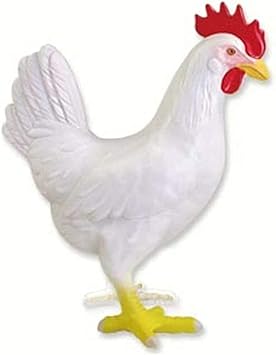 Amazon Co Jp 鶏の解剖学モデルおもちゃ動物生物学体医療教育モデル4dビジョンパズル組み立て おもちゃ Amazon Co Jp 鶏の解剖学モデルおもちゃ動物生物学体医療教育モデル4dビジョンパズル組み立て おもちゃ