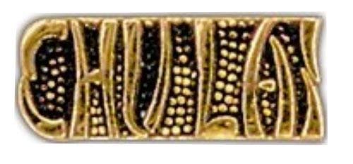 US Army Chu Lai Lapel Pin