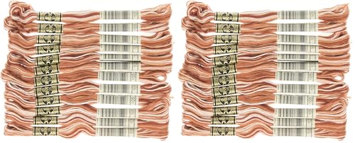 Image of DMC 6-Strand Embroidery Cotton Floss, Variegated Brown (Pack of 2)