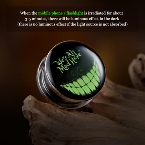 2PCS Stainless Steel Fluoresscence Piercing Ear Gauges Epoxy Screw Fit Ear Plugs Tunnels Allergy Free Expander Earrings For Women Men Body Piercing Jewelry4