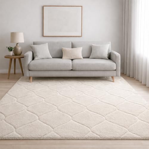 Image of Carpet for Hallway, Kitchen, and Modern Interiors, Cozy Shag Runner for Living Room, Entryway & Office Decor Size 3x5 feet Full Ivory