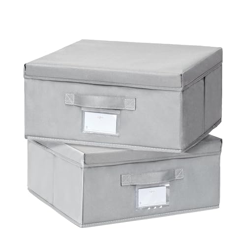 Augfox Conjunto de 2 caixas de armazenamento com tampa - organizador armário roupa, caixas de armazenamento roupa, cestas ideais de armazenamento (cinzento-claro, 36 x 32 x 16 cm) - práticas e