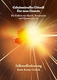 Geheimnisvoller Urknall - Der neue Einstein: Die Einheit von Mystik, Bewusstsein und Quantenphysik - Karin Karina Gerlach 