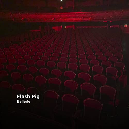 Flash Pig