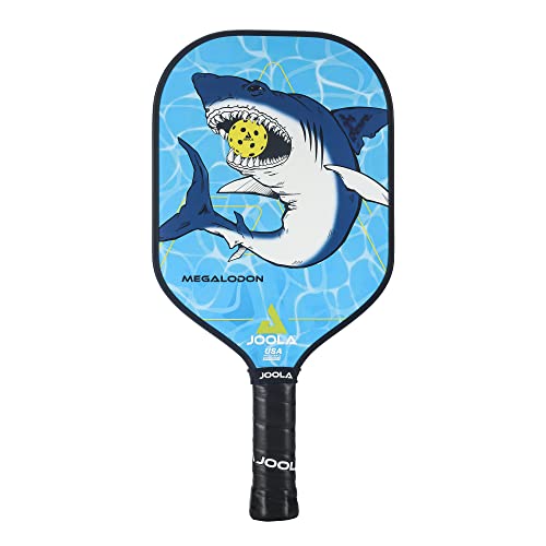 JOOLA Kids Pickleball Paddle Review