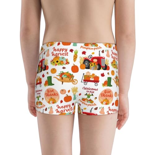 Boys' Cotton Boxer Brief Soft Underwear-Fall Farm Pumpkin3