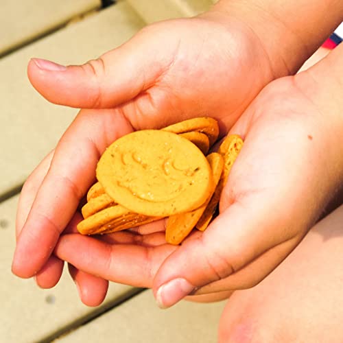 Freeyumm Cheezy Cracker Bites - 4.2 Oz. - Plant Based - Gluten Free Snacks, Nut Free - Safe For School - Pack Of 6 #TOP2