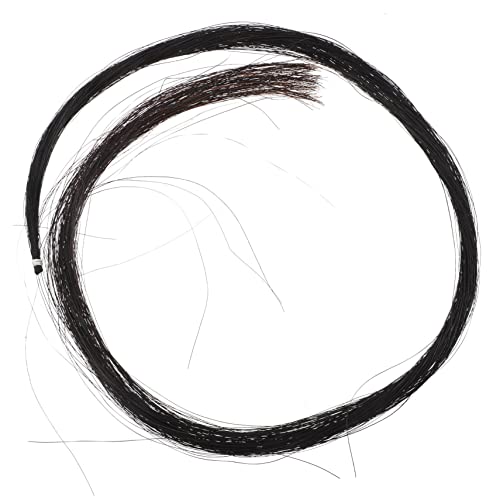 ibasenice `F|pn |i ypi ϋv̂f gp\ȃViI  wZ `F K