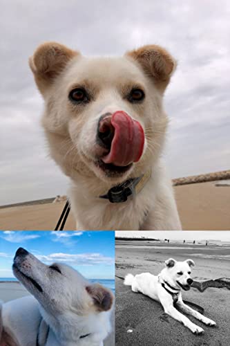 Image of from 202204 to 202303 calender sora photo books 2 (Japanese Edition)