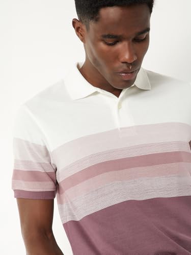 Image of Max Men's Half Sleeves Regular Fit Striped Polo T-Shirt