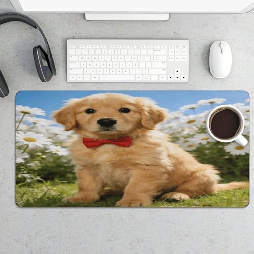 Alfombrilla grande para escritorio Dewey Desk Pad resistente al agua miniatura 5