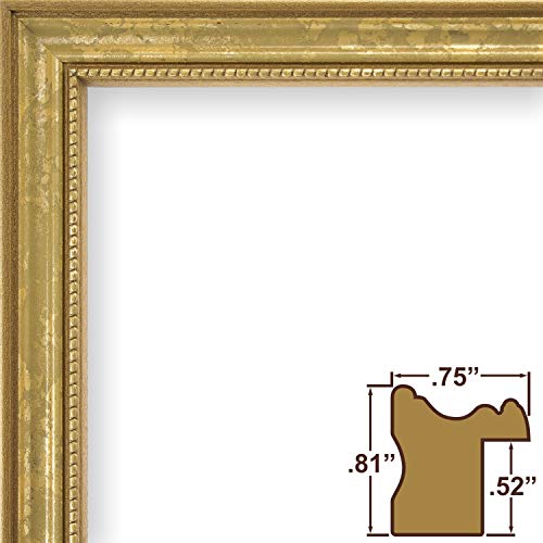 Craig Frames 314Gd 24 X 36 Inch Poster Frame, Solid Wood, 0.75 Inch Wide, Gold & Victoria, Ornate Gold Picture Frame, 20 X 30 Inch #TOP2