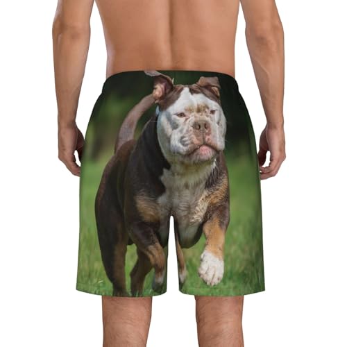 Men's Beach Shorts Animal Bulldog Dog Mens Swim Trunks Board Shorts with Pockets Swimwear Bathing Suits4