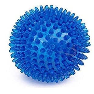 Dog Trust Natural Rubber Pet Spiked Ball, Dog Chew Toy, Puppy Teething Chew Toy with Sound Interaction and Play for Pets- Color May Vary (B09YLRH6JW) Amazon Price History, Amazon Price Tracker