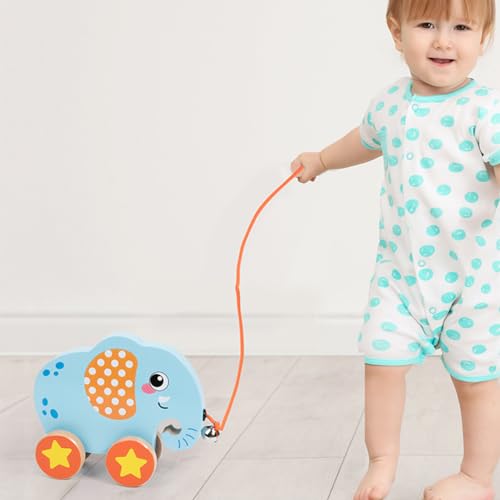 Push and Pull Along Toy, Montessori Juguete Animales para Bebés De Madera, Juguete Educativo Andar Y Equilibrio Juguete De Habilidad Motora De Agarre Sensorial, para Bebés 1+ Año De Edad