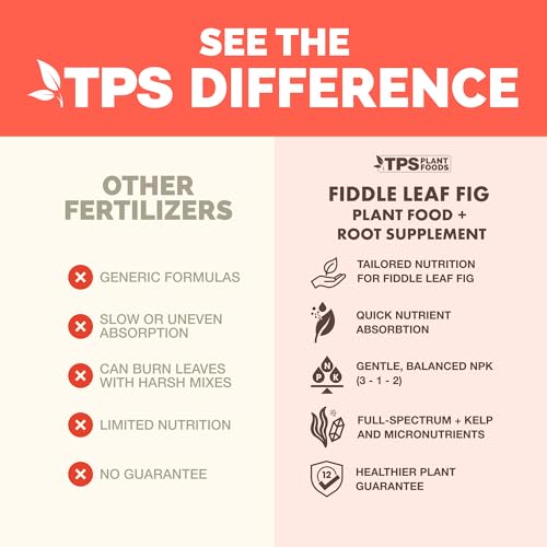 Fertilizante Líquido para Planta Fiddle Leaf Fig 2x250 mL miniatura 3
