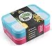 Leakproof Bento Lunchboxes, Lunch Containers 3 Compartments (2-Pack), no smells, food prep, meal planning, Microwave and Freezer Safe - FDA Approved and BPA Free by New Tomorrow