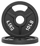 BalanceFrom BFOH2IN-10P