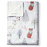 AMROSE Ultra Soft Baby Minky Blanket, Warm Lightweight Skin-Friendly Micro Fleece Baby Blanket with
