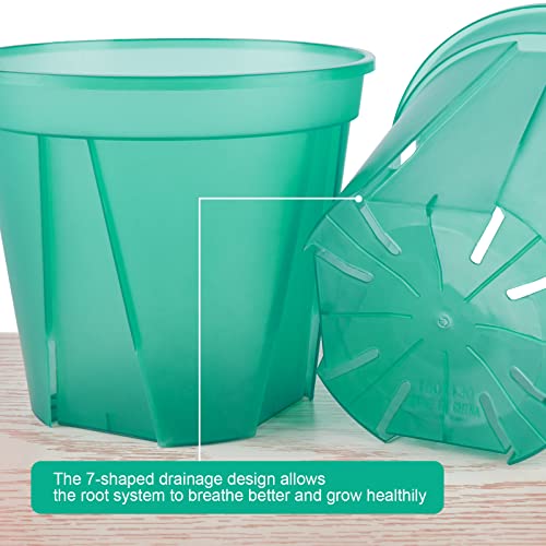 Greenpara Green Transparent Plastic Planter 4/5 /6 Inch Plant Nursery Pots With Drainage Hole Indoor Modern Decorative Containers For Orchid Plants Herb Flowers Cactus With 10Pcs Plant Labels, 12Pcs #TOP4