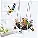 Milisten 1pc Parrot Bite Toy Creative Chewing Pendant for Birds Engaging Activity Swing Promotes Healthy Beak Grinding Weight